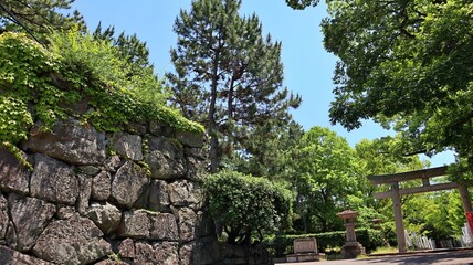 初夏の青空と新緑に映える石垣と鳥居