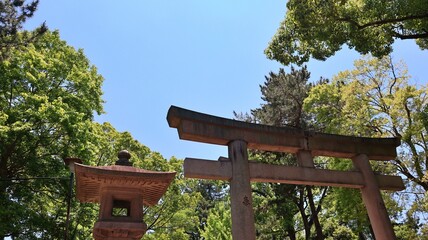 初夏の青空に映える神社の灯籠と鳥居