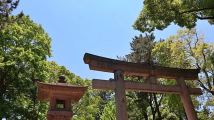 Gordijnen Torii Gates 初夏の青空に映える神社の灯籠と鳥居  © たあきん