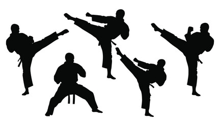 Martial arts practitioners in dynamic poses showcasing strength and skill silhouette