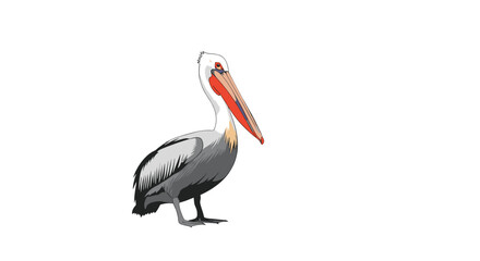 Detailed illustration of a majestic pelican standing, showcasing its distinctive large beak and throat pouch, isolated on white.
