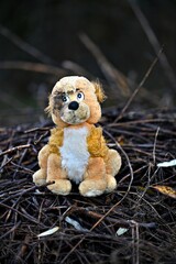 dump teddy bear in nature, sadness and childhood theme