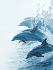 Fototapeta premium Several Dolphins Leaping in Sync Above the Ocean Surface in a Line