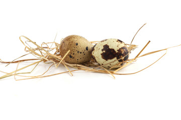 Quail eggs on straw isolated on white background. Natural patterned farm quail eggs in hay.