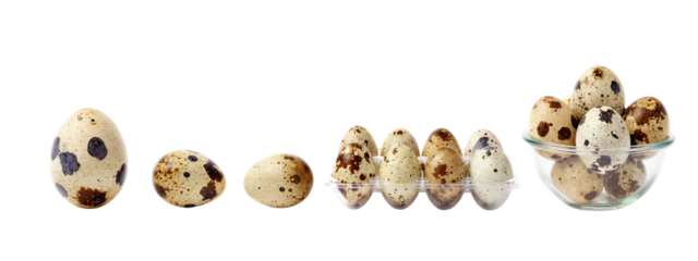 Photograph of nine quail eggs, varying sizes, with dark brown and black speckles, arranged in a line and a glass bowl on the right.