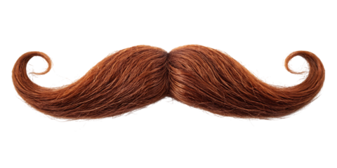 Highly detailed photorealistic handlebar mustache, cutout, PNG isolated on white or transparent background