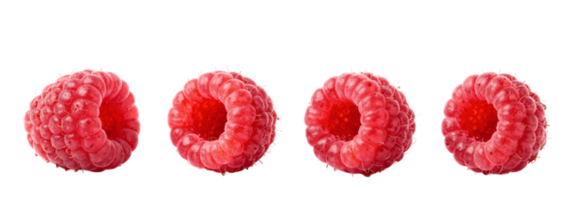 Four bright red, textured raspberry-like fruits in a row, with a . Each fruit is round with a hollow center and a bumpy surface.
