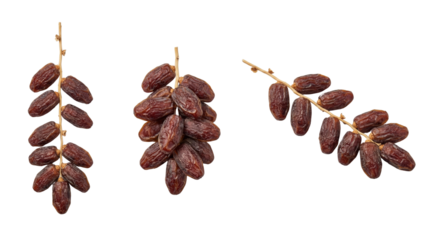 Fresh Dates on Branches Isolated on White Background