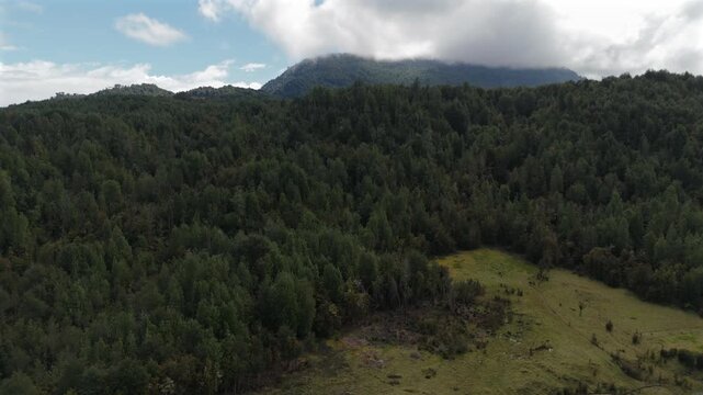 Aerial View of Mountain Meadow and Forest Landscape