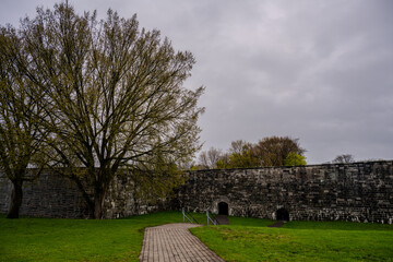 Stone fortification wall and tree in spring park