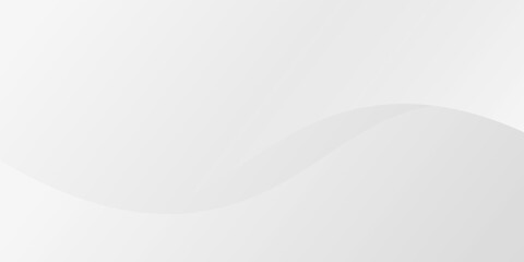 Abstract minimalist white and gray curve modern background. texture white pattern. vector illustration