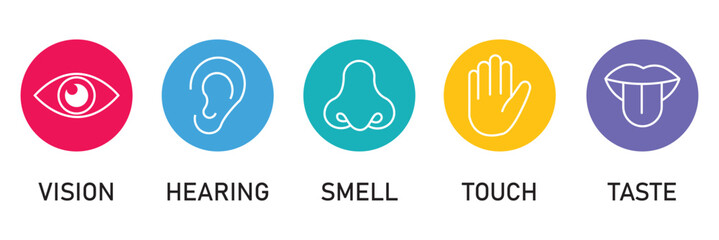 set icons collection of five human senses featuring ear, eye, nose, hand, and mouth displayed in a horizontal row , minimal style, emphasizing sensory perception, human anatomy. Concept of human sense