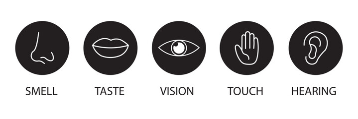 Human Sense Line Icons Set in Black and White