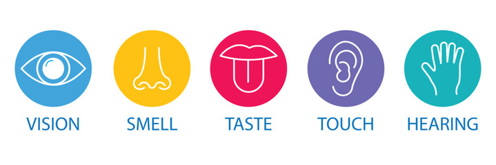 Human senses icon set. Vision eye, smell nose, hearing ear, touch hand, taste mouth with tongue. set of human five senses icon. Vector illustration. EPS 10