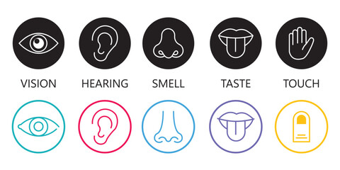 Five human senses flat vector icon set. Vision touch hearing taste smell senses collection. Human fillings icons. Human nervous system senses. Eye hand ear mouth nose icons set. Line icons. Vector EPS