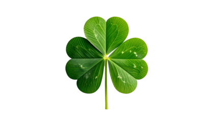 Close-up of a three-leaf clover, showcasing vibrant green foliage against a black backdrop