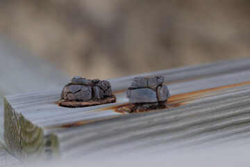 Rusted bolt with corrosion stains