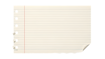 Blank Lined Notebook Paper Sheet with Torn Edge and Holes Isolated on White