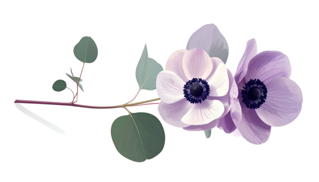 Digital image of anemone flowers with eucalyptus branches on a transparent background - Powered by Adobe