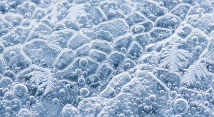 Ice crystals on a frozen surface with visible snowflakes and bubbles.