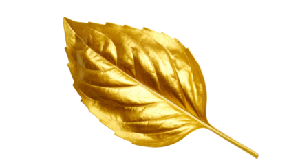 A single golden leaf, detailed, isolated on black, reflecting light and texture