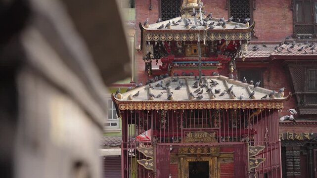 Temple Entrance with Pigeons &ndash; Kathmandu Courtyard
