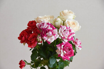 ピンクと黄色のばら