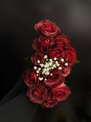 bouquet of wine red roses with baby's breath isolated
