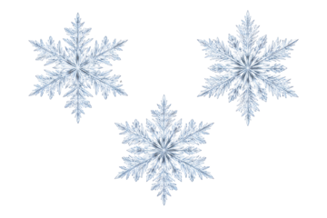 Three intricate blue crystal snowflakes isolated on a light grey