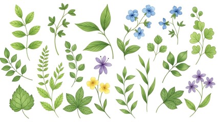 Colorful botanical of various leaves and flowers green