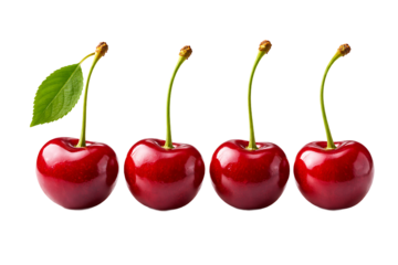 Four fresh ripe red cherries with bright green stems and a single leaf 