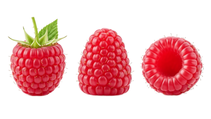 Three perfectly ripe and vibrant red raspberries captured in various angles