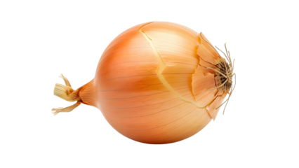 Golden Onion: A single, radiant golden onion, a culinary staple, lies in solitary splendor, its textured skin hinting at the layers of flavor within.
