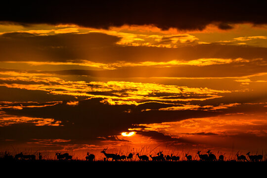 Sunset vibrant sky