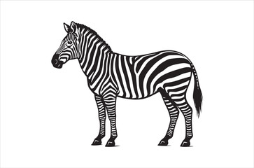 Obraz premium A striking black and white illustration depicts a zebra in profile view