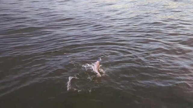 angeln an der Ostseek&uuml;ste