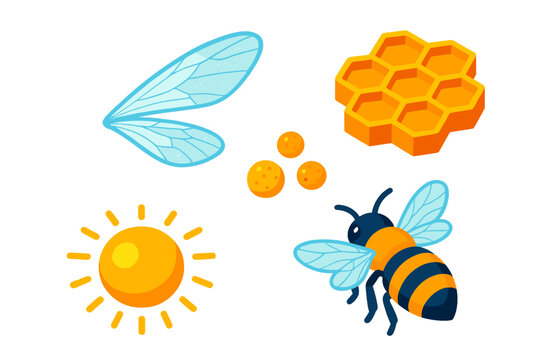 Bee Icons Collection. Isometric vector illustration set Bee Wing Transparency: translucent bee wings, honeycomb fragment, tiny