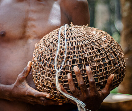 man holding wild nuts (galip nuts)