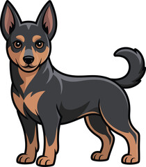  Cute cartoon a illustrator vector kelpie