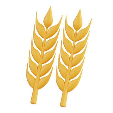 3D illustration of golden wheat stalks representing carbohydrates and agriculture icon