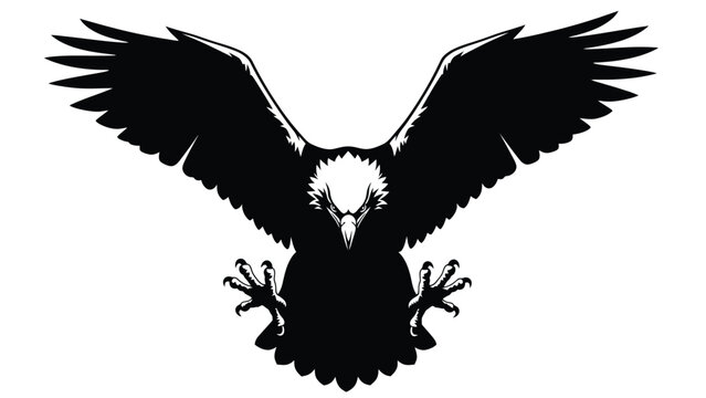 Bald eagle landing with wings spread silhouette vector