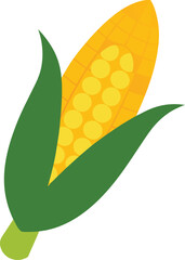 Ripe Corn Cob With Husk On Transparent Background