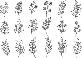 a collection of delicate floral line art featuring various botanical branches and blossoming flowers arranged in neat rows high quality professional