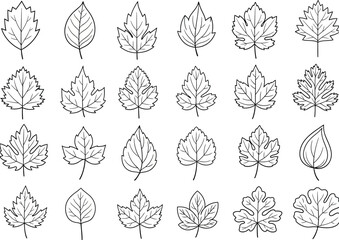 a collection of various leaf outlines in black and white displayed in a grid pattern showcasing botanical diversity high quality professional