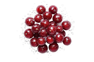 Elegant winter berry bunch composition on white background isolated on transparent background