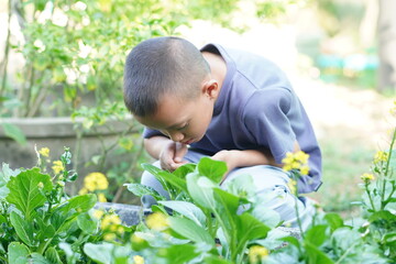Young Boy Exploring Nature by Observing Plants in a Vibrant Garden Setting Surrounded by Greenery and Colorful Flowers