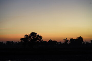 Fototapeta premium Serene Sunset Over Fields with Silhouette of Trees and Gentle hues of Orange, Pink, and Purple in Sky, Capturing Nature's Tranquility at Dusk