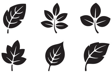 Leaf icon set black silhouette vector illustration on white background
