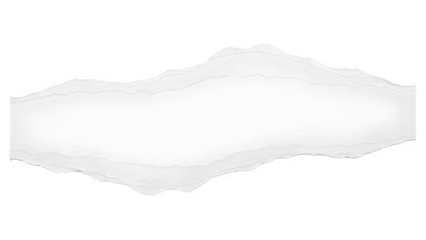 A white irregular shape on a black background with jagged edges and a smooth center