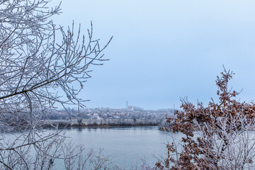 Calm winter lake with frosty trees and a small village in the distance. Serene cold landscape with icy branches, muted colors and peaceful atmosphere in a quiet rural setting